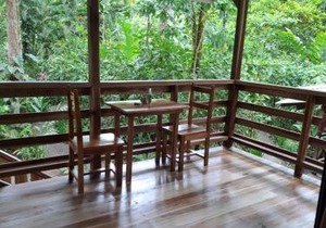 Pachamama Nueva River side Bungalows Punta Uva