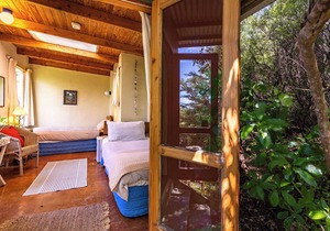 Pi Honi Cabin - Ao Marama Retreat - Stunning Bush setting and Ocean Views