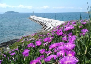 Room in BB - Welcome To Hotel petunia, In Neos-marmaras,xalkidiki ,greece, triple room 6
