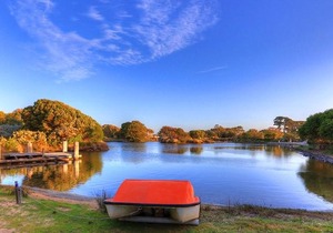 Stanley Lakeside Spa Cabins