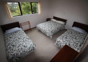 Whanarua Bay Cottages - Tree House