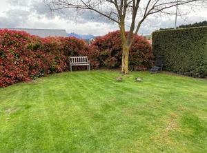 Albert Town | Wanaka