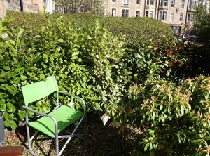Marchmont | Marchmont