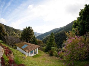 Dantica Cloud Forest Lodge | San Gerardo de Dota