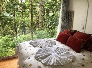 Dantica Cloud Forest Lodge | San Gerardo de Dota