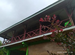 Green Forest Tangkahan | Batang Serangan