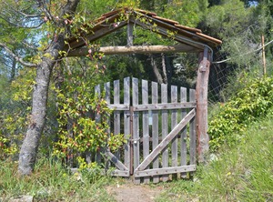 Grove Cottage Pelion | Milies