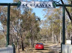 Gumleaves Bush Holidays | Little Swanport