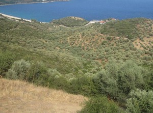 Sofia Quiet Garden Holiday | Pirgadikia