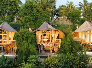 Kalma Bamboo Eco Lodge | Lombok