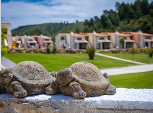 Nefeli Villa | Nea Skioni