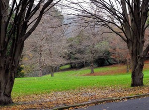 Pillinger Street | Dynnyrne