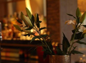 Riverside Lodge Hotel | Irvine