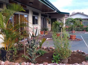 Top Of The Mountain American Owned Hotel Bnb Facility | San Isidro de Grecia