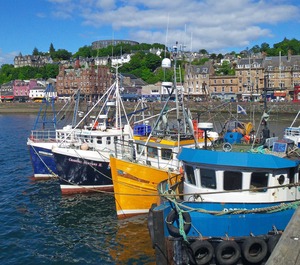 Argyll Mansions 