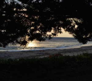 The Sea 