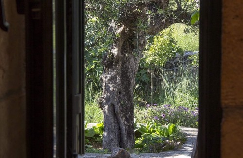 Lefktron Cottage | παραδοσιακό εξοχικό σπίτι που βρίσκεται στην ηρεμία του ελαιώνα