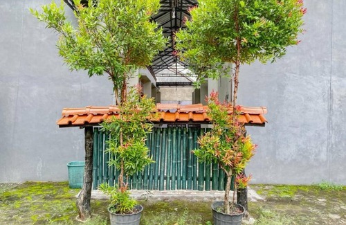 Rogojampi Bed & Breakfast | 11 m² Bed and breakfast ∙ 3 guests