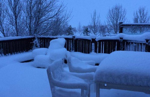 Akureyri Bed & Breakfast | 11 m² Bed and breakfast ∙ 3 guests