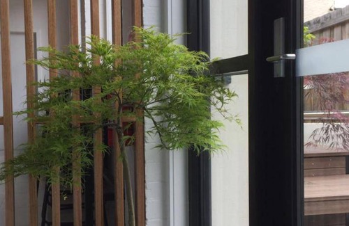 Launceston CBD Resort | 12 m² Private room ∙ 127 guests