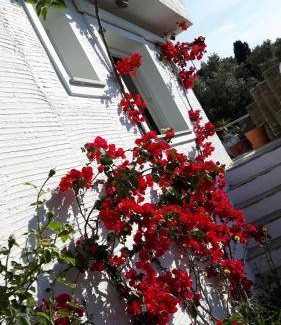 Andros Town House | 145 m² House ∙ 4 bedrooms ∙ 10 guests