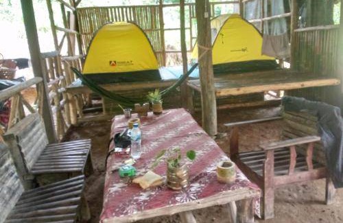 Bohorok Bed & Breakfast | 18 m² Bed and breakfast ∙ 2 guests