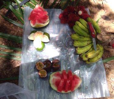 Bohorok Bed & Breakfast | 18 m² Bed and breakfast ∙ 2 guests