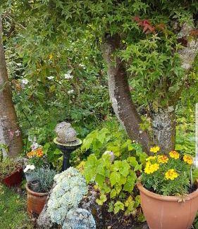 Two Mile Bay Bed & Breakfast | 180 m² Bed and breakfast ∙ 2 guests