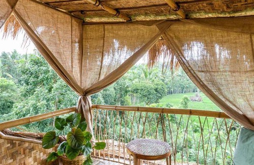 Banyuwangi Bed & Breakfast | 20 m² Bed and breakfast ∙ 3 guests
