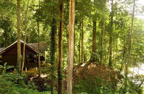 Ketambe House | 20 m² House ∙ 1 bedroom ∙ 2 guests