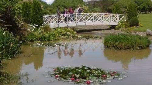Whanganui Bed & Breakfast | 23 m² Bed and breakfast ∙ 2 guests