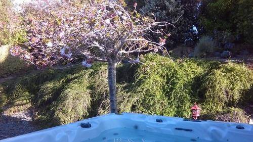 Whanganui Bed & Breakfast | 23 m² Bed and breakfast ∙ 2 guests