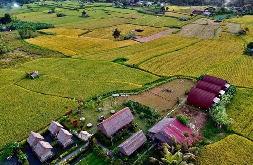 Banjarangkan House | 24 m² Bungalow ∙ 4 guests