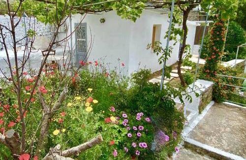 Vathy Villa | 24 m² Villa ∙ 1 bedroom ∙ 2 guests