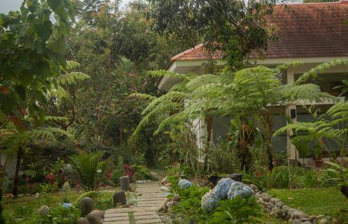 Ruteng Villa | 24 m² Villa ∙ 1 bedroom ∙ 3 guests