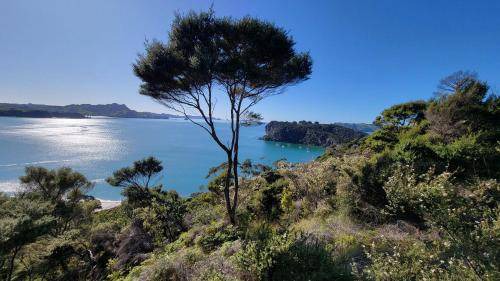 Hahei Bed & Breakfast | 27 m² Bed and breakfast ∙ 2 guests