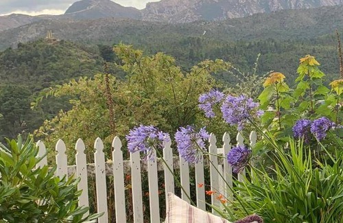 Queenstown Bed & Breakfast | 28 m² Bed and breakfast ∙ 4 guests