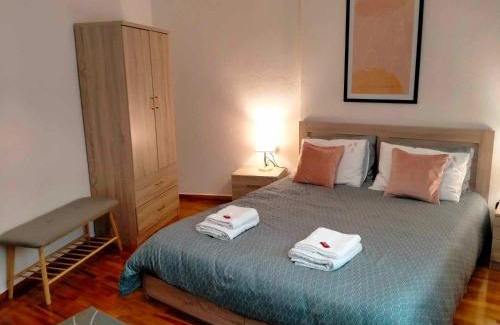 Veroia Apartment | 2BDR Downtown Veria Peach Blossom