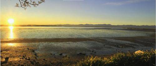 Motueka Bed & Breakfast | 30 m² Bed and breakfast ∙ 2 guests