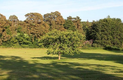 Melrose Bed & Breakfast | 30 m² Bed and breakfast ∙ 2 guests