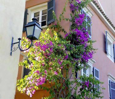 Old Town Apartment | 34 m² Apartment ∙ 1 bedroom ∙ 3 guests