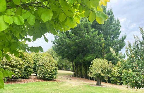 Stony Rise Bed & Breakfast | 35 m² Bed and breakfast ∙ 7 guests