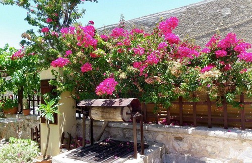 Sivas Apartment | 40 m² Apartment ∙ 1 bedroom ∙ 3 guests