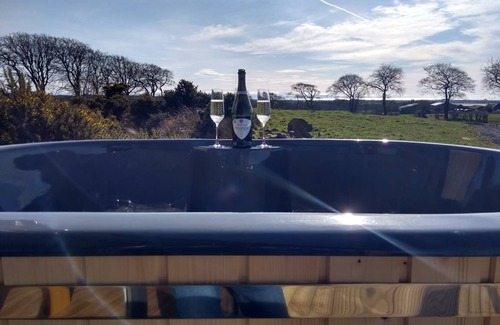 Dalry Cabin | 40 m² Lodge ∙ 1 bedroom ∙ 3 guests