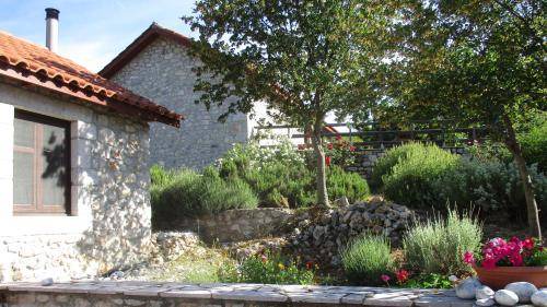 Fokiano House | 45 m² House ∙ 1 bedroom ∙ 4 guests