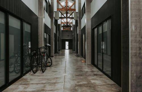 Devonport Apartment | 484 m² Apartment ∙ 1 bedroom ∙ 2 guests