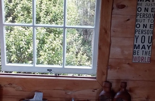 Waiotahi Cabin | 4WD Off the grid timber cabin, Panoramic views, Lovers nook !