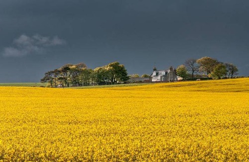 Stonehaven Bed & Breakfast | 60 m² Bed and breakfast ∙ 4 guests