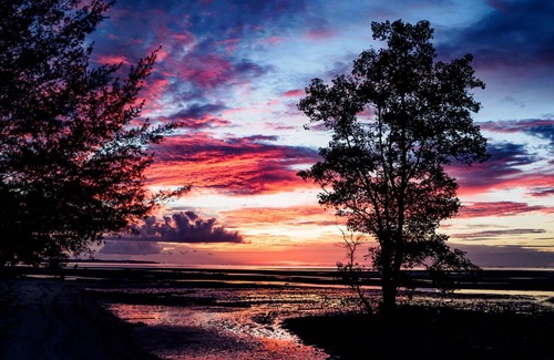 Bintan Resort | 61 m² Resort ∙ 2 guests