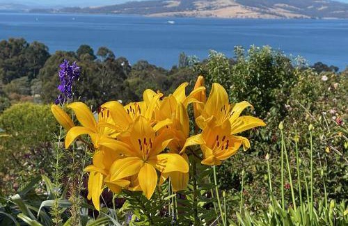 Woodbridge Bed & Breakfast | 84 m² Bed and breakfast ∙ 2 guests